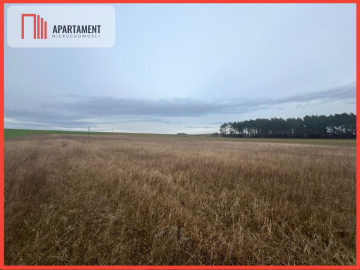 Działki z warunkami zabudowy 1075m2