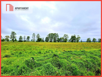 Dziemionna 1440 m2 z warunkami zabudowy