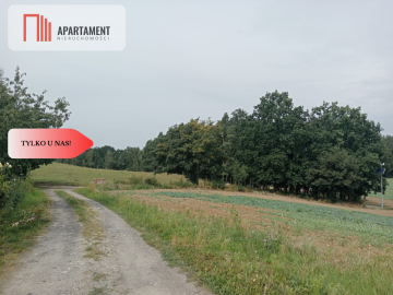 Tczew-Śliwiny z Warunkami Zabudowy