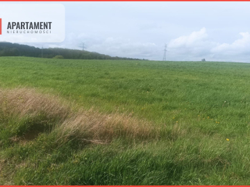 Piękna działka w okolicy jezior i lasów