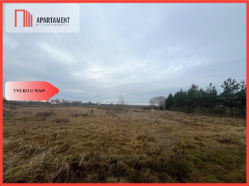 * Działka otoczona lasami i polami z WZ