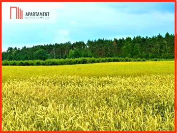 SZCZUTKI-MORZEWIEC 862m2  LAS CISZA SPOKÓJ