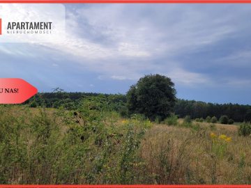 Tylko u nas! Świetna lokalizacja, cisza!