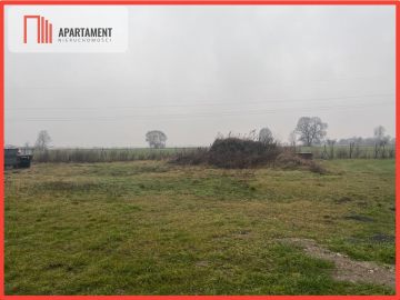 Działka z widokiem na las