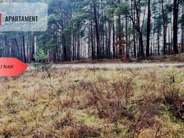 Duża narożna działka z prądem, las, jezioro.