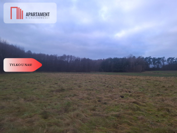 TYLKO U NAS !!! ATRAKCYJNA DZIAŁKA BLISKO LASU