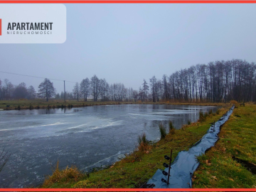 Duża działka z zarybionym stawem. Niska Cena
