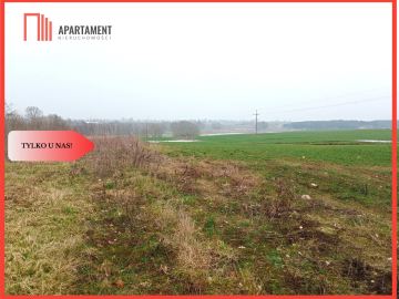 Malownicza działka wśród lasów i pól - OKAZJA