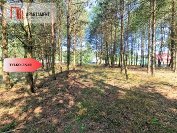 Działka budowlana w Borach Tucholskich!