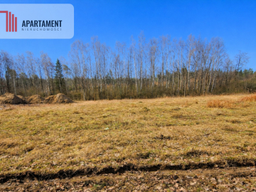 Nad jeziorem, przy lesie.