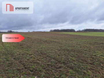 Działka Rolna Rogów Wołowski/gm. Wińsko