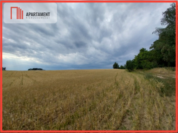 Działki pod lasem w Łabiszynie!