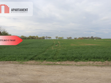 Duża działka 1,15 ha z zabudowaniami