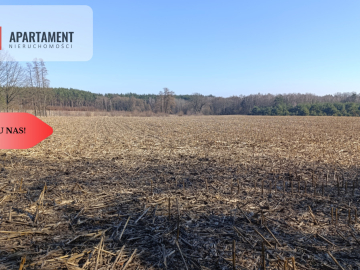 Grunt rolny/sad/pasieka/lokata kapitału/przestrzeń