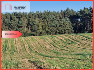 Działka z linią brzegową jeziora, wydane WZ