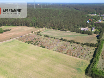 Dziesięć działek na twój wymarzony dom.