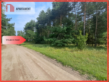 Działka z lasem