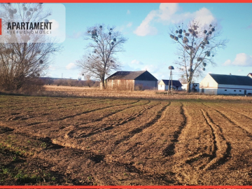 DUŻA działka 5 minut od Świecia, kwadrat !