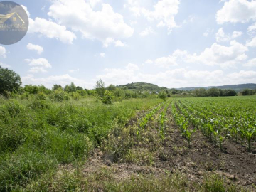 Działka 17 arów