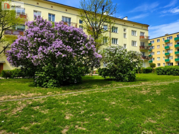 Osiedle Leśne 3 pokojowe mieszkanie dwa balkony