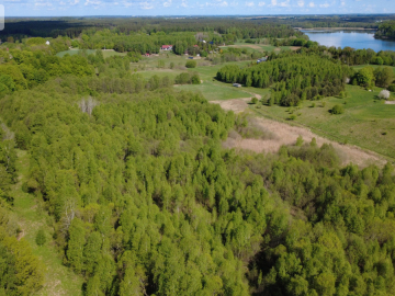 Działka 8000 m² na Kaszubach - Niedamowo