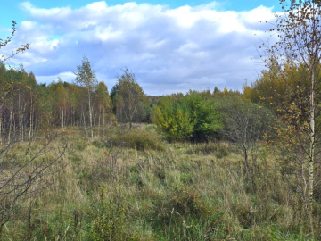 Malownicze działki budowlane – Mierzeszyn
