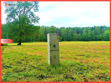 TYLKO U NAS - PAWŁÓWEK 1,8ha LAS CISZA SPOKÓJ