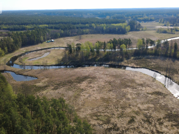 Działka 1,140 ha przy lesie Nad rzeką Wdą-Smolniki