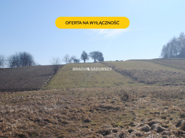 Duża działka budowlano-rolna w Bodzanowie