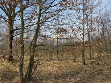 Działka z MPZP | Marcyporęba, gm. Brzeźnica
