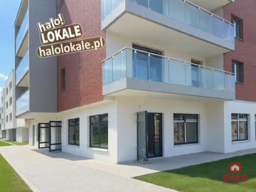Nowe lokale do wynajęcia