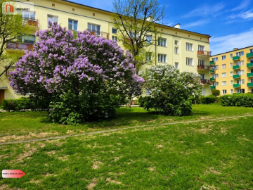 Osiedle Leśne 3 pokojowe mieszkanie dwa balkony
