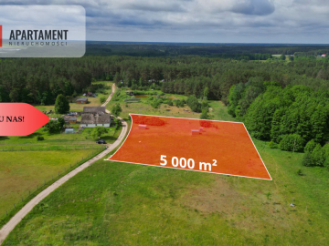 Działka 5000 m2 ze ścianą lasu, raj dla duszy