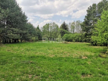 Dąbrowa, gmina Polkowice, działka budowlana, 13200 m2, sprzedaż, 594 000 zł.  
  
Na sprzedaż grunt budowlany dz. 186/4 w miejs