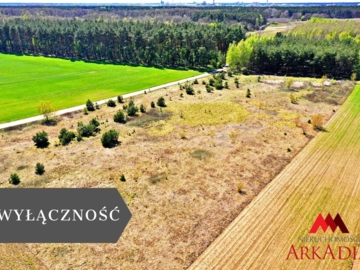 5 działek /Winduga/Gm. Bobrowniki /WZ