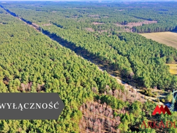Działka las iglasty 40-50 letni, Bobrownickie Pole