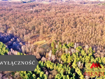 Działka leśna/Wistka Królewska