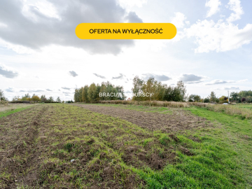 Działka budowlana / 25 ar / płaska / Cholerzyn 