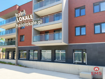 Nowe lokale do wynajęcia