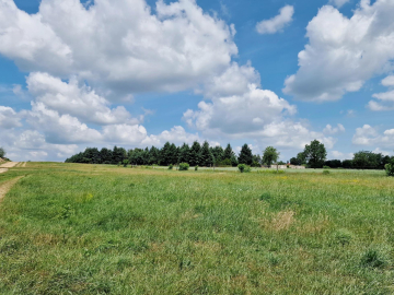 Widzew - działka budowlana z PnB o pow. 1500 m2