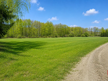 Działka rolno-budowlana 2,5 ha. Nowosiółki