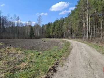 Działka budowlana pod lasem. 1085 m2