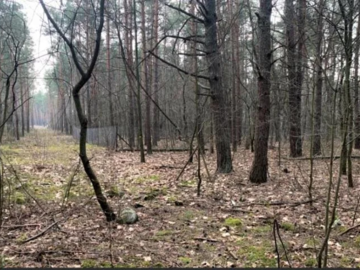 Sprzedam super działkę inwestycyjno-budowlaną .