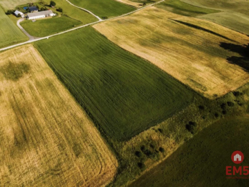 Działka - Żegary, gm. Sejny