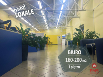 Powierzchnia biurowa 160-200 m2.