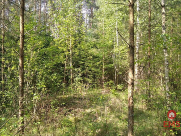 Działka idealna na domek.