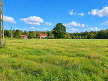 Działka pod lasem. Łubianka